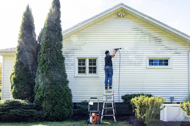 Paint Preparation in Wolfe City, TX